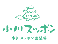 小川スッポン養殖場